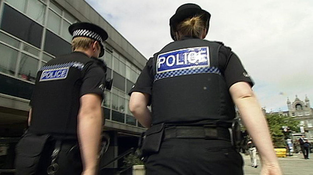 Merger: The report says keeping all eight forces is 'unsustainable'.