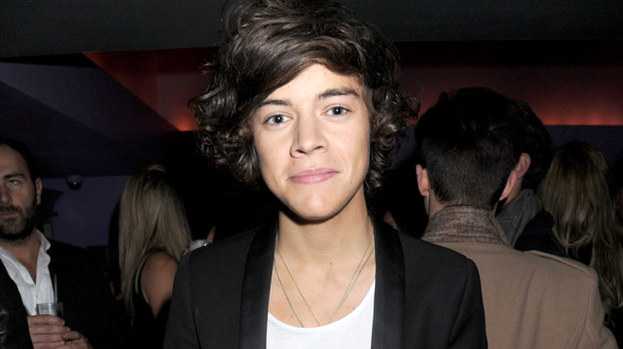 Hurt and shocked: Harry Styles has been left confused about the cruel comments