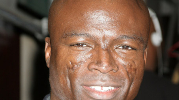 Seal wants to 'protect his family'