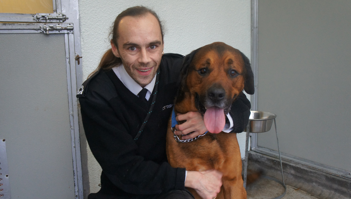 Animals looking for a loving home at the Cardonald rehoming centre