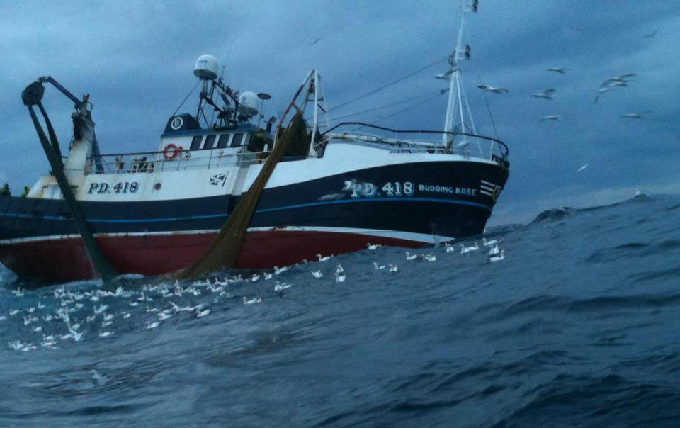 The Budding Rose recently landed 30 tonnes of cod in a single net in Peterhead