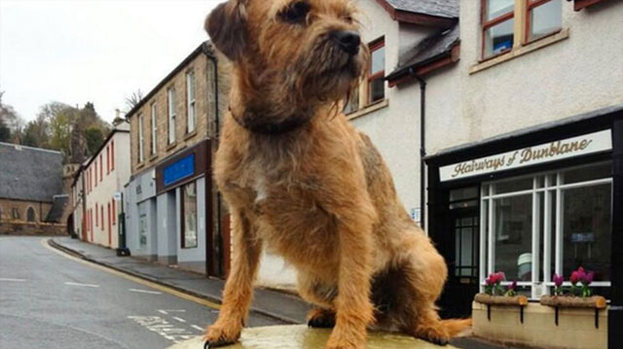 Maggie May Andy Murray