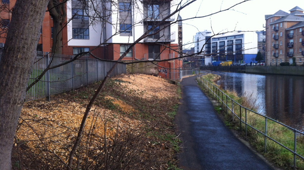The trees and shrubs were removed for the visit by Princess Anne.