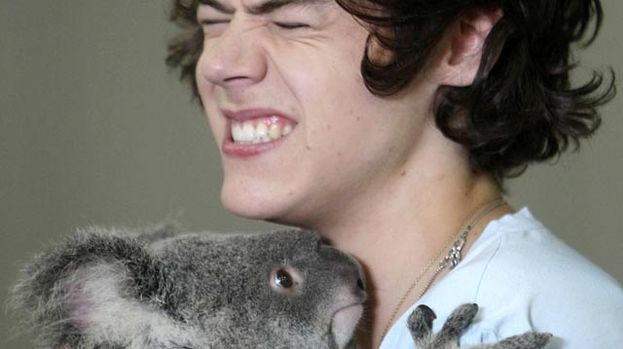 Harry Styles is a hugger